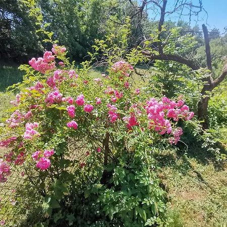 Am Alten Steinbruch *