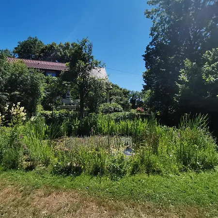 Nyaraló Am Alten Steinbruch